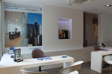 Consultes