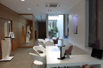 Consultes